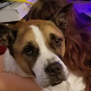 Meet your Posher, Penny